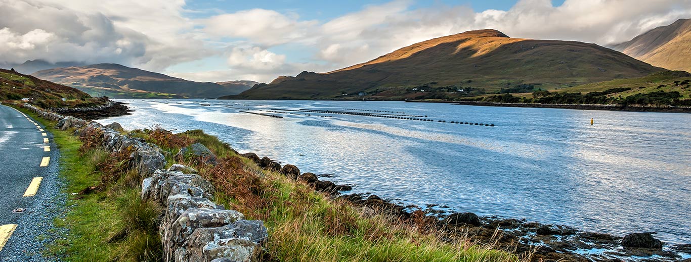 Road trip en Irlande : découvrez tous nos voyages et nos conseils