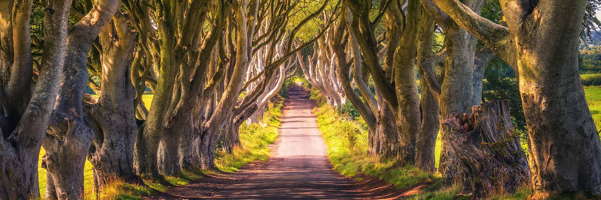 Voyage en Irlande du nord