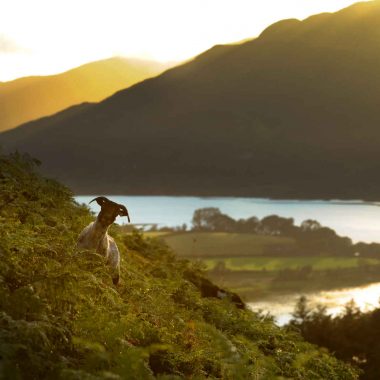 Road trip en Irlande : découvrez tous nos voyages et nos conseils