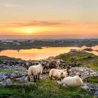 Odyssée irlandaise