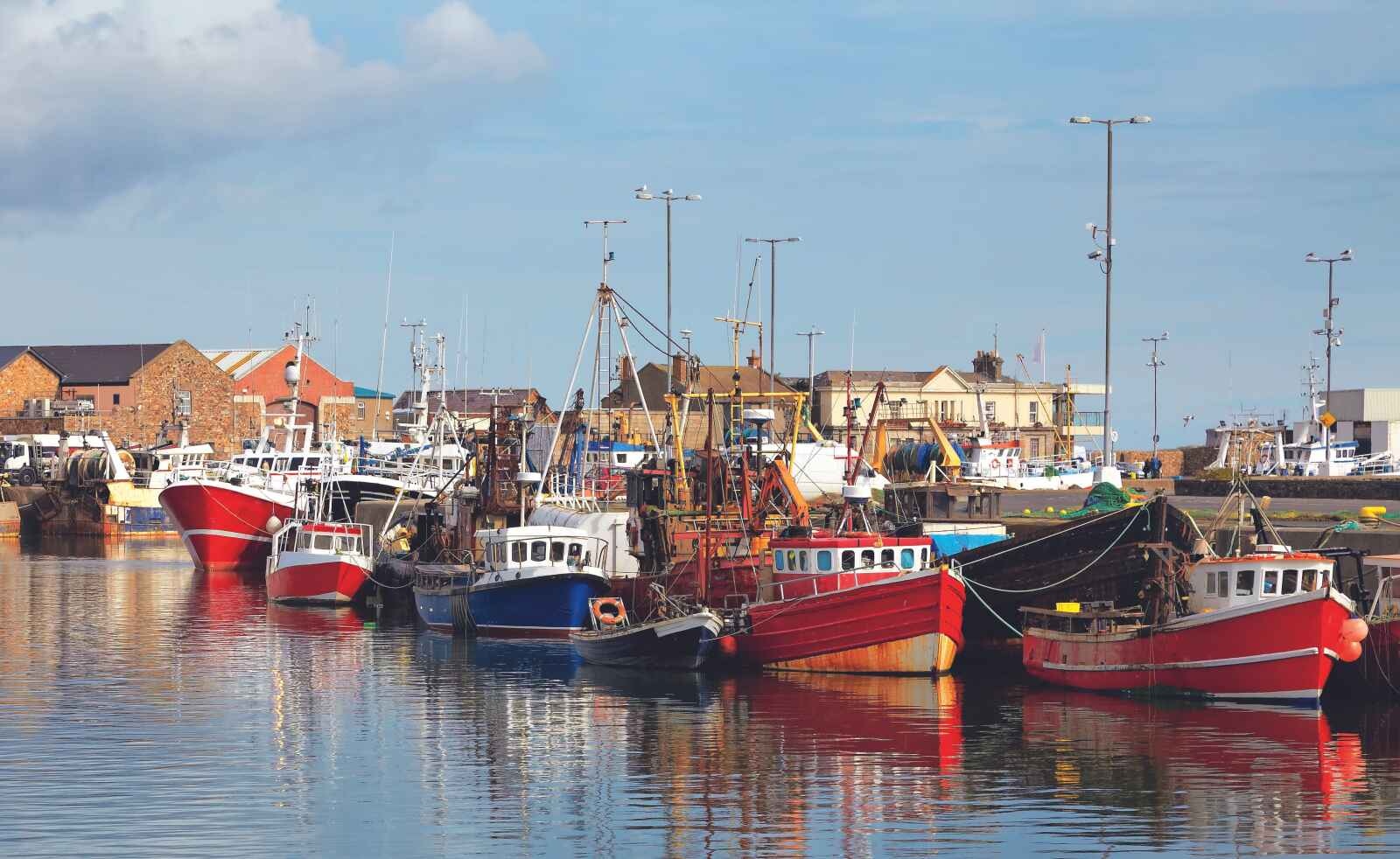 Bateaux de peche dans le port de Howth en ete comte de Dublin Irlande