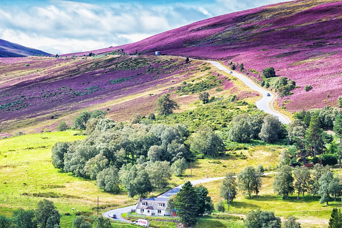 Parc National Cairngorms, Highlands, Ecosse
