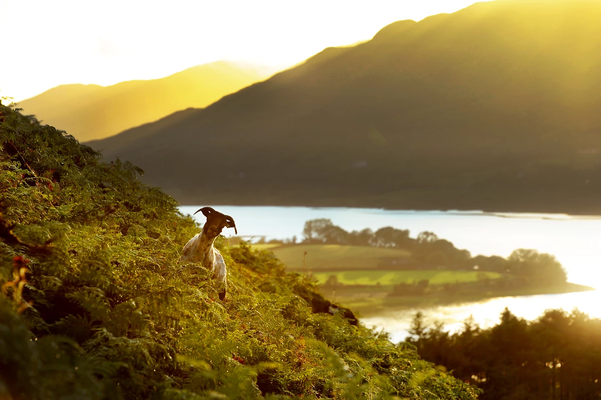 Dublin et l’Ouest irlandais